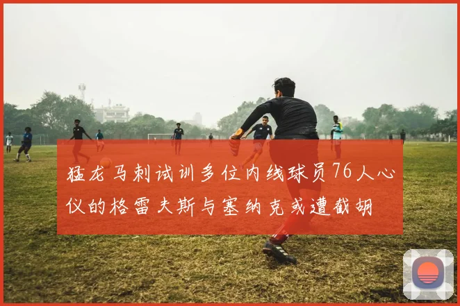 猛龙马刺试训多位内线球员76人心仪的格雷夫斯与塞纳克或遭截胡