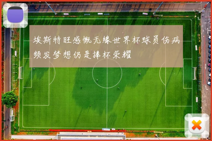 埃斯特旺感慨无缘世界杯球员伤病频发梦想仍是捧杯荣耀